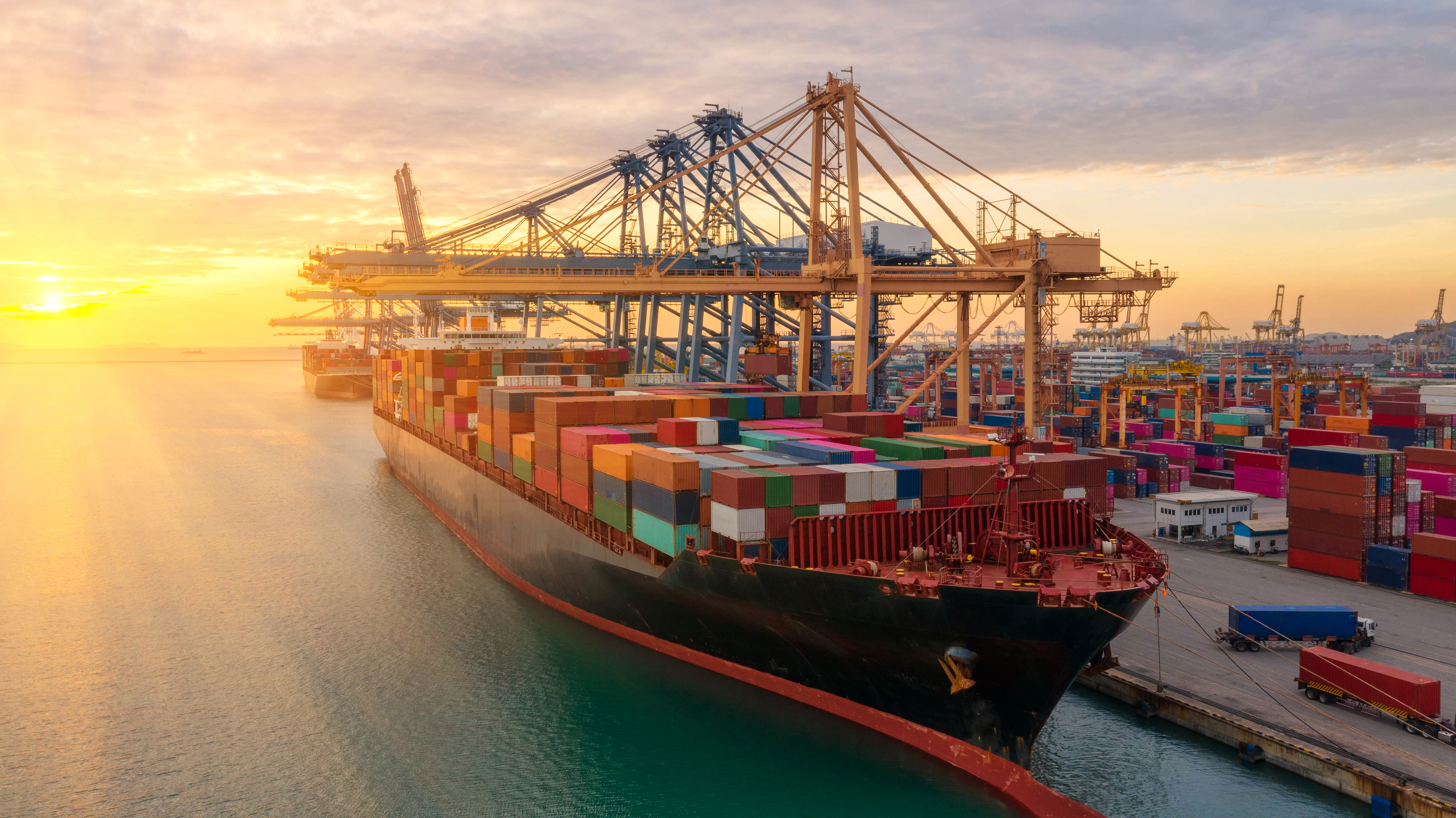 shutterstock_1264030438